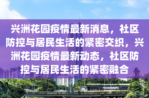 qq飞车手游最新进阶，QQ飞车手游全面进阶攻略解析