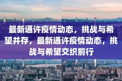 大马羽毛球最新赛事，大马羽毛球赛事，精彩对决即将上演