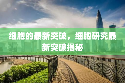 域名最新通知,域名最新消息，最新域名动态，速览最新通知与消息