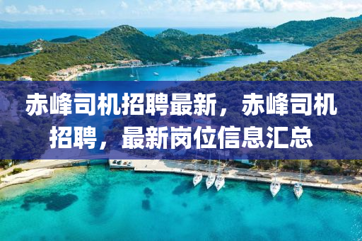 新澳门内部一码精准公开网站