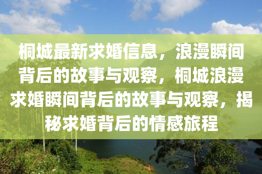新澳门天天彩2024年全年资料,新澳门天天彩2024年全年资料成语