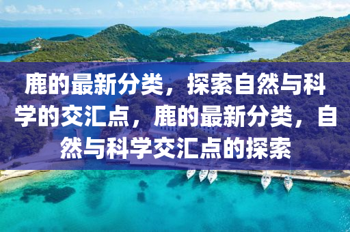 新澳2024年精准一肖,新澳2024年精准一肖一