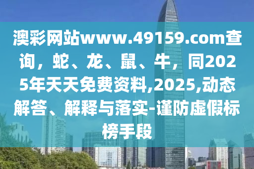 管家婆必中一肖一鸣,管家婆的神秘预测，必中一肖一鸣的奥秘