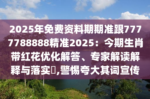管家婆正版管家，管家婆正版管家，专业高效的家政服务管家