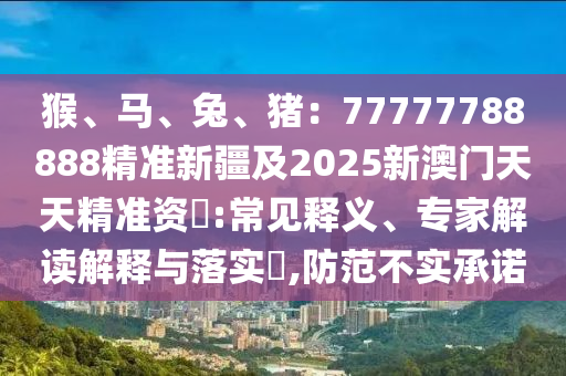 孝感市公安最新动态，强化治安防控，守护群众安宁，孝感公安严守治安防线，全力保障群众安宁