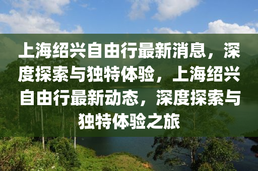 新澳门六开奖结果直播，澳门六开奖结果直播，犯罪行为的警示与反思