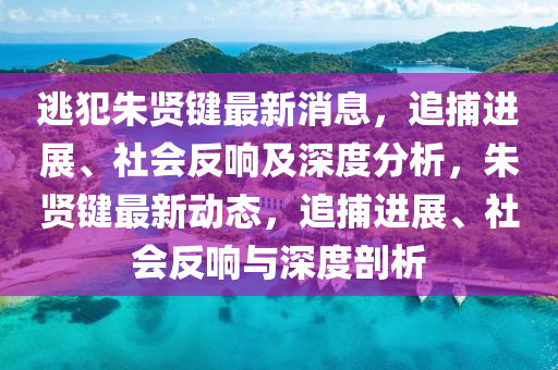 2024新澳正版资料最新更新，授人以渔网易云课堂1.4.4195,探索未来教育之路，新澳正版资料的最新更新与授人以渔网易云课堂的发展轨迹