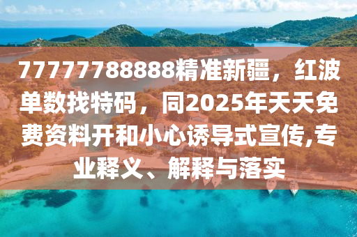张店区最新领导班子，新阵容展现新气象，助力区域发展新篇章，张店区新领导班子集体亮相，共绘区域发展新蓝图