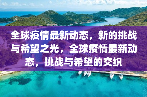 全球疫情最新動(dòng)態(tài)，新的挑戰(zhàn)與希望之光，全球疫情最新動(dòng)態(tài)，挑戰(zhàn)與希望的交織東莞市世佑電子有限公司