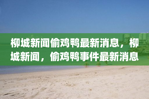 柳城新闻偷鸡鸭最新消息，柳城新闻，偷鸡鸭事件最新消息