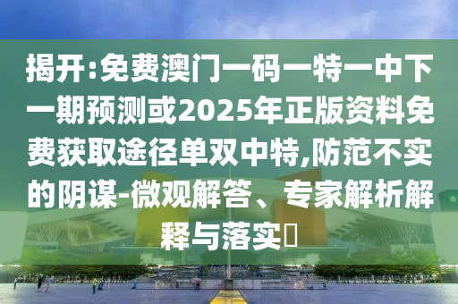 2025新澳门和香港天天开好彩大乐透开奖号码1和抵制虚假性标榜,标准分析、解释与落实