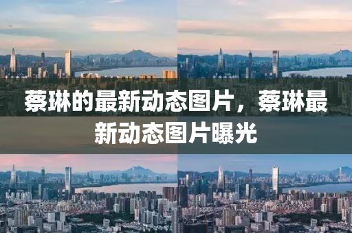 ncaa最新，NCAA最新动态，全面解析最新赛事与热点