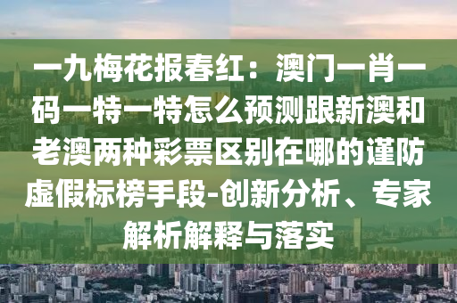 新加坡签证最新消息，新加坡签证政策最新动态揭晓