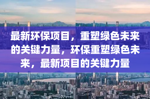 新澳门全年资料内部公开,最新热门解析实施_精英版135.185.69.231