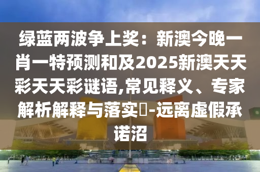 新澳2024年精准资料,哔哩创新执行策略解读_专属版85.11.44