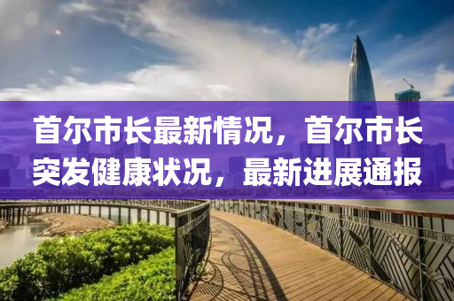 首尔市长最新情况，首尔市长突发健康状况，最新进展通报