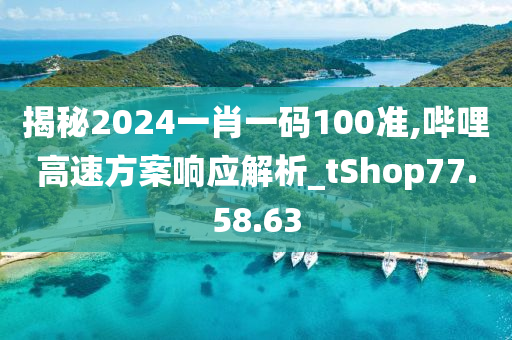 揭秘2024一肖一码100准,哔哩高速方案响应解析_tShop77.58.63