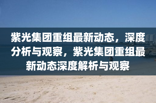 最新的宝可梦，探索宝可梦新篇章，最新游戏揭秘